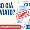 ANNULLAMENTO 730