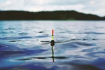 Pesca