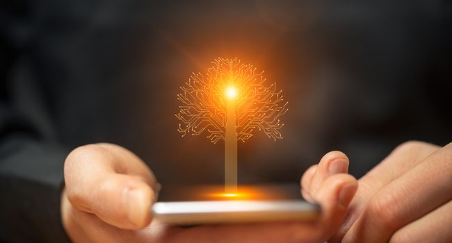 Incentivi PMI Sud per innovazione sostenibile