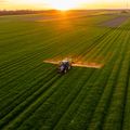 Imprese agricole