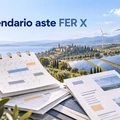 Aste Fer X