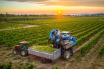Agricoltura