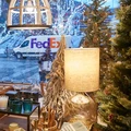 Fedex