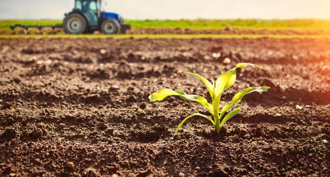 Agricoltura