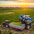 Agricoltura