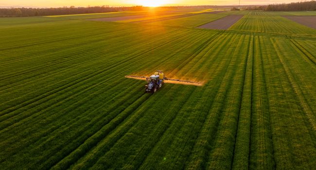 Imprese agricole