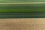 Asta terreni agricoli