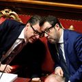 Giorgetti - Salvini