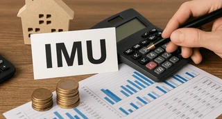 IMU