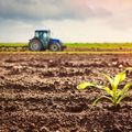 Agricoltura